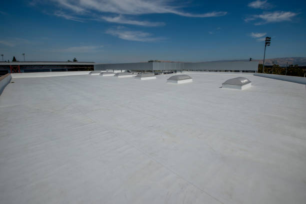 Roof Insulation in Victoria, MS